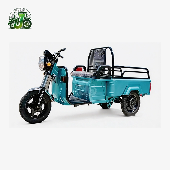 Small Cargo Electric Tricycle